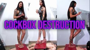 Cockbox Destruction