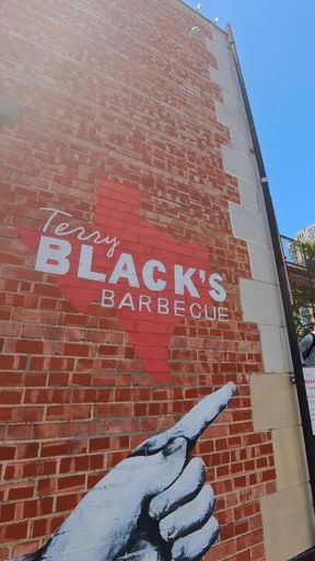 Terry Blacks - Bites Between Flights