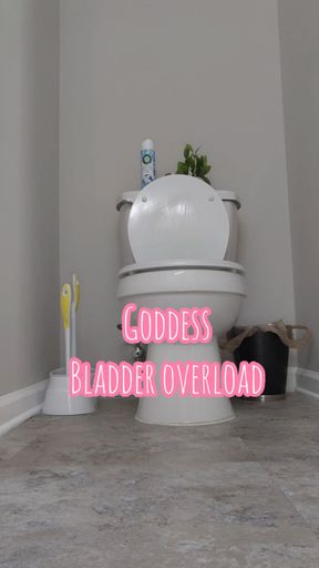 Goddess Bladder Overload