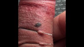 solobdsmman 7 -i play with ne.... and my foreskin