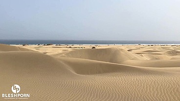 LEO BULGARI SEX AND CUM ON THE BEACH WITH HIS FRIENDS THE BLESHPORN - FULL VIDEO!!!