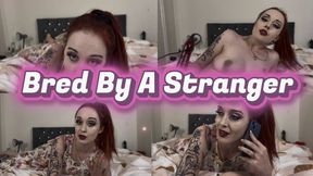 Bred By A Stranger