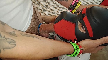 WHO LET THE DOG OUT?!!! BY LEO BULGARI & PUPPY TITO CATULO - FULL AMAZING VIDEO!!!