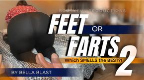 Stinky Feet or Farts 2