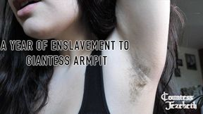 A Year of Enslavement to Giantess Armpit