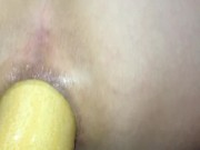gaping anal whit a squash
