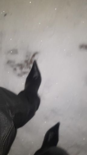 Pointy Boots in Snow
