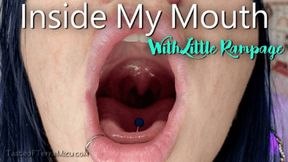 Inside My Mouth - Little Rampage - HD 720 MP4