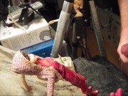 BBB preview: Sofia Valentine "Red Hooded Semi-Ruined"(cum only)WMV withSloM
