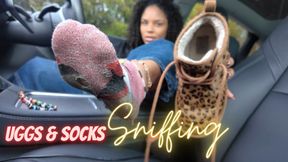 Uggs and Socks Sniffing