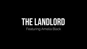 The Landlord Ft Amelia Black