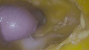 Cum  into melon