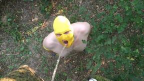 Slave Outdoor Piss and Fuck