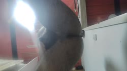 Mi primer video