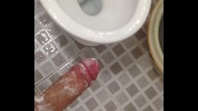 Việt Nam thủ d&acirc_m [ch&iacute_nh chủ]