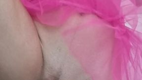 The Sex Fairy