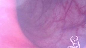 pov dive into lina s clean ass! (enema minicam)