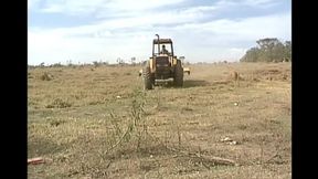 Gay Parade - Scene #02