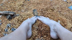 Katherine sexy barefoot play outdoors