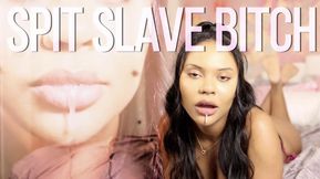 Spit Slave Bitch