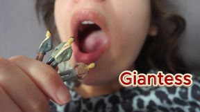 My Giantess stepsister eats her stepfamily, sucks them like candy, then plays with them, puts one in their nose, the other in her mouth, and eats them.