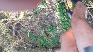 testicle torture padlock and walk in tzsticule torture, brambles in the forest for 1 km