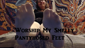 Worship My Smelly Pantyhosed Feet