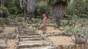 dildo, bikini and cactus