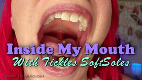 Inside My Mouth - Tickles SoftSoles - HD 720 MP4
