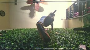 Trample POV