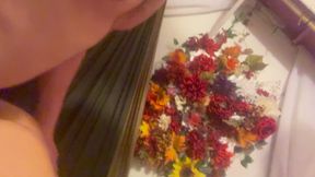 Hammock better then the swing