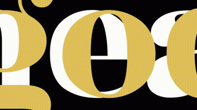 How to Train a Faggot | Part 1 | How to act like a Faggot