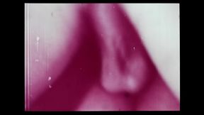 Vintage porn retro erotic theatre - Robins nest