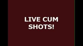 Live Ts Cum 113
