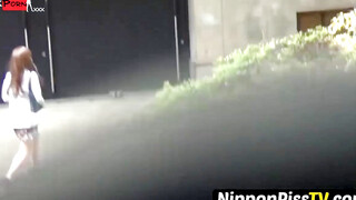 Public Pee Party Vol.1" or "Japanese Cuties Outdoor Compilation