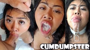 CUM DUMPSTER