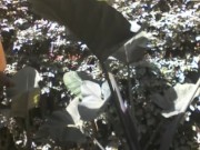 PISSING IN PIBLIC....ALMOST CAUGHT