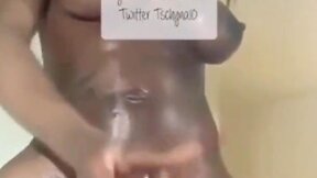 Favorites collection