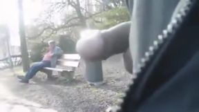 old man cock on park bench 4