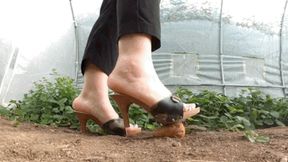 CC - Crushing in garden, sexy mules