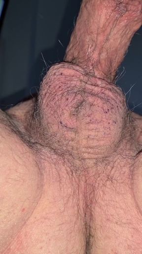 Hairy and Shaved