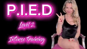 P.I.E.D. level 2 - Intense Training