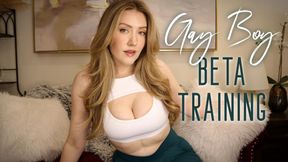 Gay Boy Beta Training