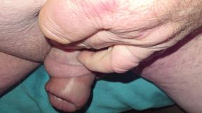 Small pummed cock
