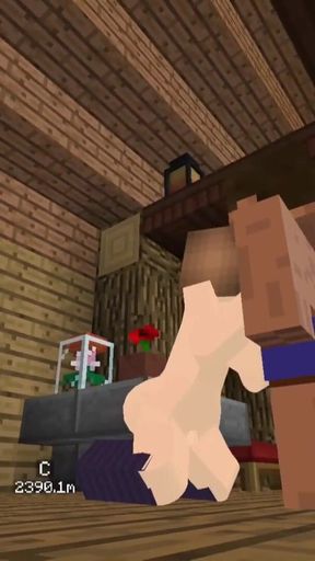 Minecraft The Jenny Mod Fucking Jenny in the pussy and getting a blowjob   Clip 3