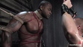 Master Diesel Washington and Slave Park Wiley