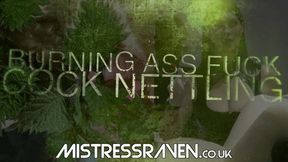 [636] Burning Ass Fuck Cock Nettling