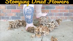 Hydrangea Flower Stomping ASMR