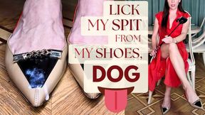 POV Lick Saliva from Mistress Ksana's shoes with your tongue like a dog