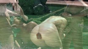 heather gables is a cumslut loving double penetration